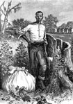 American Slavery: Southern Industry