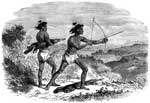 California Indians: Diggers on Land