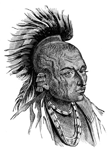 dudo kemol: Chippewa Indians
