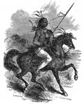 Comanche Indians: Comanche Warrior