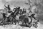 Comanche: Comanche Indians Stealing Cows