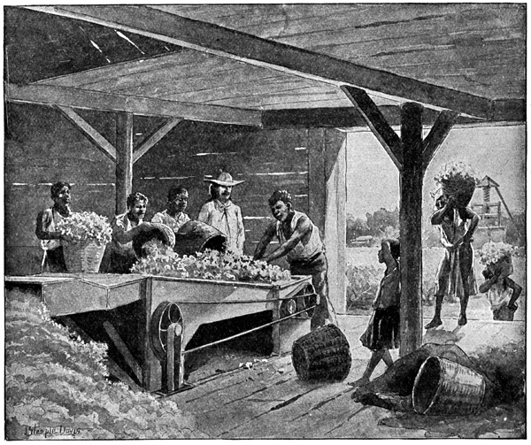 Cotton Ginning - Primary Sources.