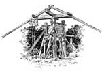 Cotton Ginning: Old-Fashioned Cotton Press