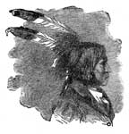 Dakota Indians: A Dakota Chief