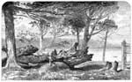 Maryland Colony: The Mulberry Tree at St. Mary's Point