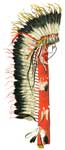 Native American Clothing: Red Cloud's War Bonnet