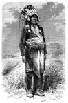 Native American Graphics: Chief in Full Dress