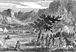Nez Perce: Camp of the Nez Perce
