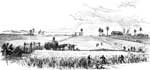 North Carolina Colony: Carolina Rice Field