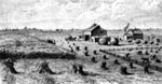 Pioneer Farms: A Dakota Wheat Farm