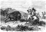 Plains Indians: Buffalo Hunting