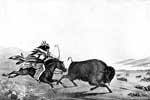 Plains Indians: Buffalo Hunt
