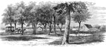 Savage's Station: View at Savage's Station - 1866