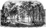 Tippecanoe: Tippecanoe Battleground in 1869